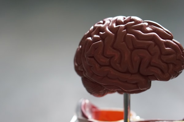 Advanced Brain MRI Technology